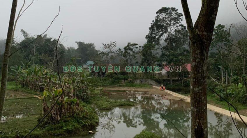 Bán đất nhà vườn tại Khuôn Hà, Lâm Bình, Tuyên Quang